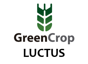 LUCTUS