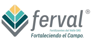 Proveedor 3